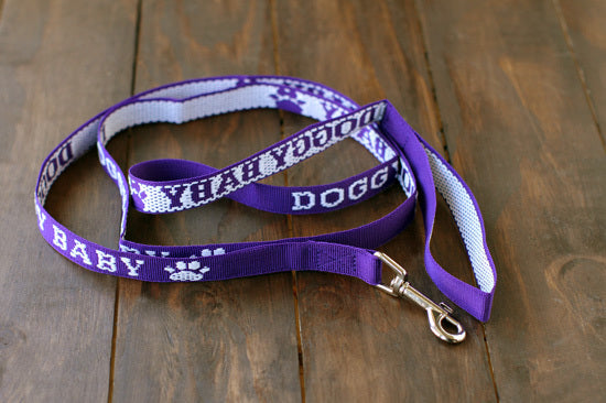 Leashes and Collars